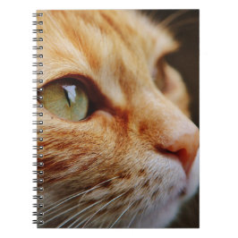 Caderno Espiral Face determinada de um gengibre