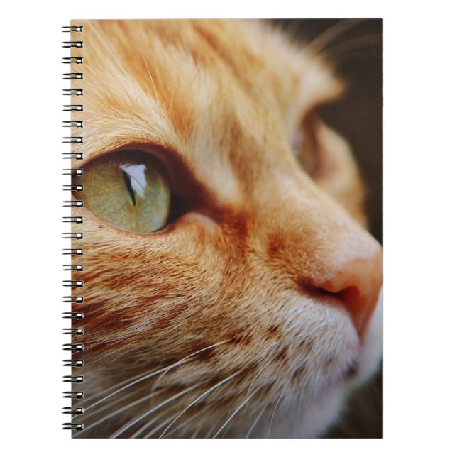 Caderno Espiral Face determinada de um gengibre (Frente)