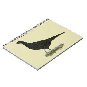 Caderno Espiral Faisão Negra