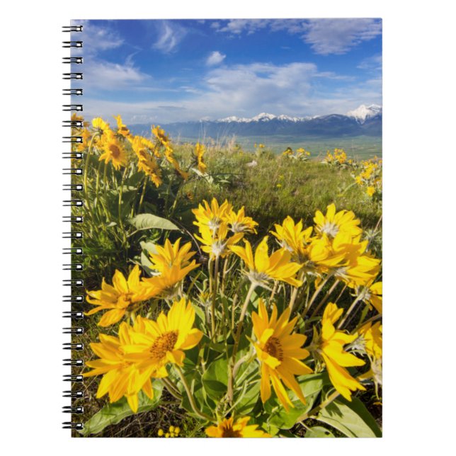 Caderno Espiral Faixa de Bisons Nacional (Frente)