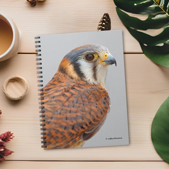 Caderno Espiral Falcão Americano Kestrel Sparrowhawwawk espantoso (Stunning Closeup of an American Kestrel Journal Cover Photo)