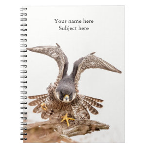 Caderno Espiral Falcão de peregrino