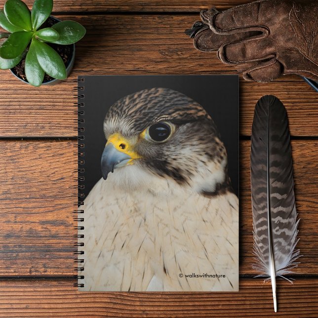 Caderno Espiral Falcão Híbrico Do Coletor Gyfalcon (Gyrfalcon Saker Falcon Hybrid Journal Cover Photo)