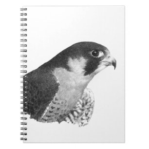 Caderno Espiral Falcão-Lápis do peregrino