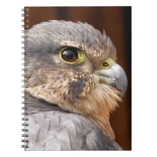 CADERNO ESPIRAL FALCÃO MERLIN AVE DE RAPINA