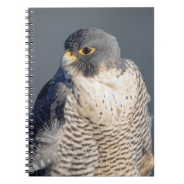 Caderno Espiral Falcão Peregrine ao longo do rio Hudson