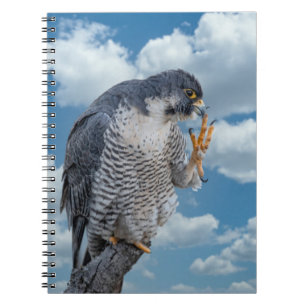 Caderno Espiral Falcão Peregrine ao longo do rio Hudson
