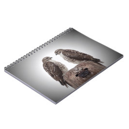 Caderno Espiral Falcões em um cargo