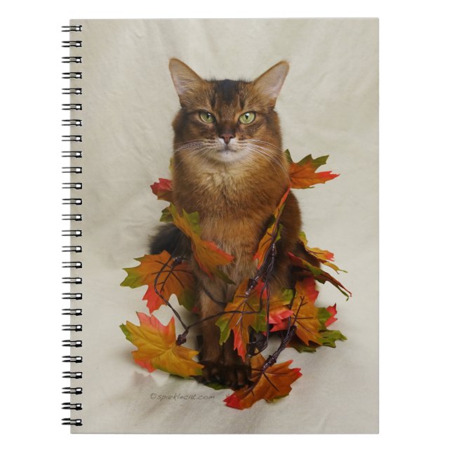 Caderno Espiral Fall Folaves Somali Cat (Frente)