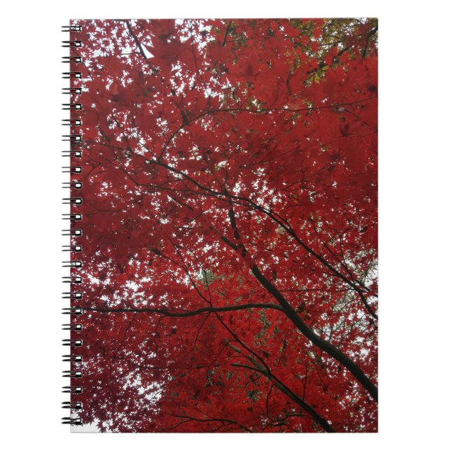 Caderno Espiral Fall Season Red Brown Autumn Folhas (Frente)