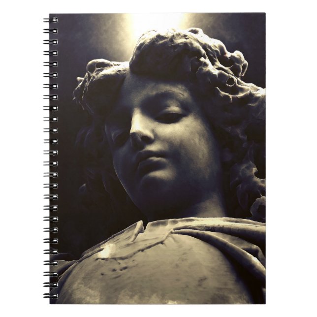 Caderno Espiral Falln Gabriel Decrescente (Frente)