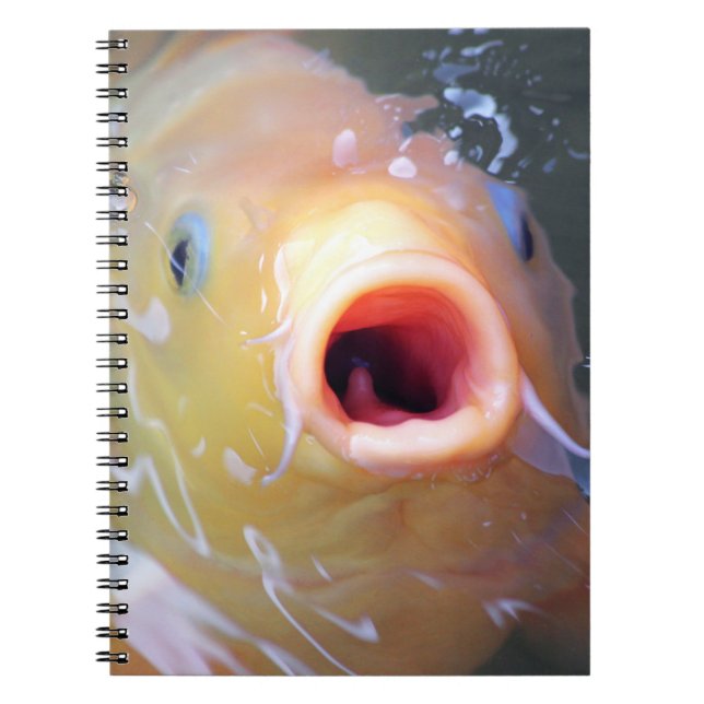 Caderno Espiral Falln Singing Ghost Koi (Frente)