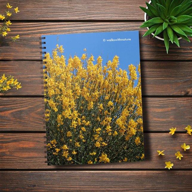 Caderno Espiral Falso Amarelo Indigo / Indigo Selvagem / Horseflyw (Yellow False Indigo Journal Cover Photo)