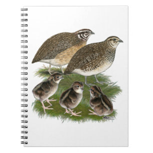 Caderno Espiral Família Coturnix Quail