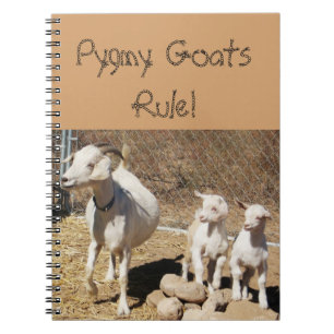 Caderno Espiral Família da cabra do pigmeu