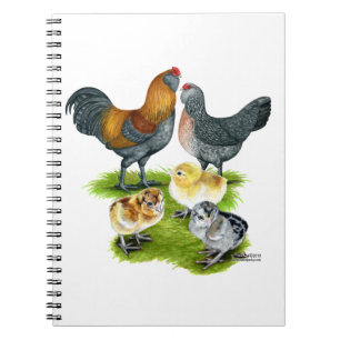 Caderno Espiral Família da galinha de Ameraucana