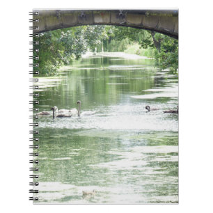 Caderno Espiral Família de Cisnes no Rio