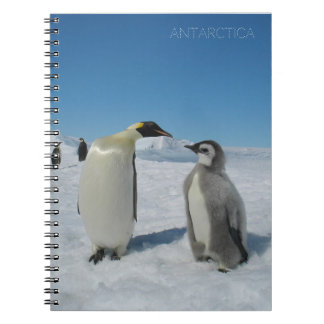 Caderno Espiral família de pinguins