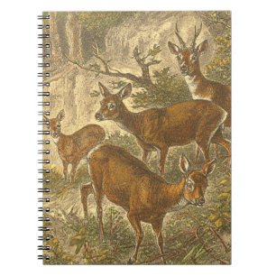 Caderno Espiral Família de Roe - Deers em Floresta