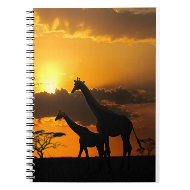 Caderno Espiral Família Giraffe 2 (Frente)