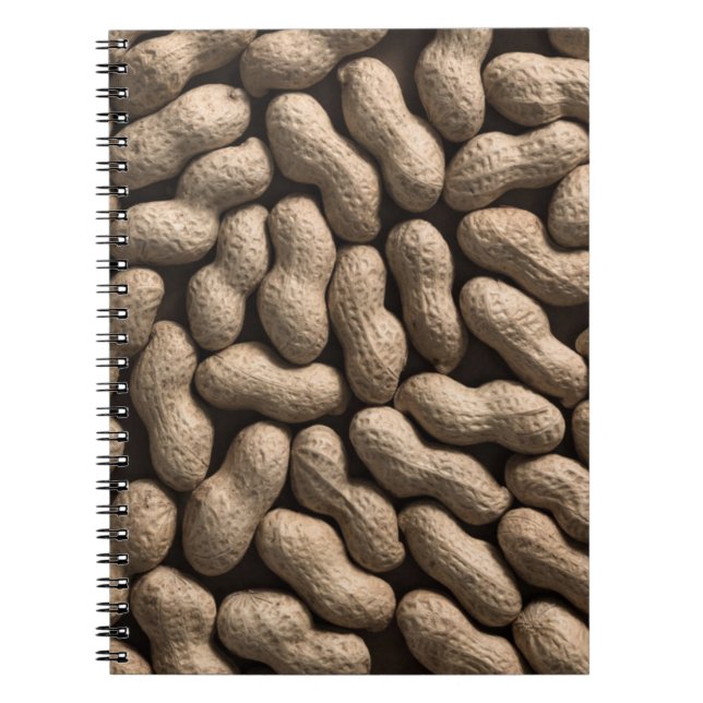 Caderno Espiral Família Peanut (Frente)