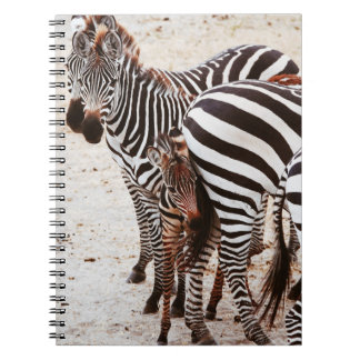 CADERNO ESPIRAL FAMÍLIA ZEBRA