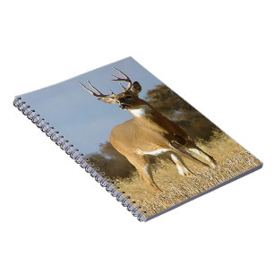 Caderno Espiral Fanfarrão do Whitetail do outono