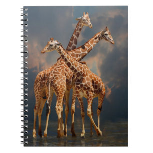 CADERNO ESPIRAL FANTASIA DE GIRAFFIC