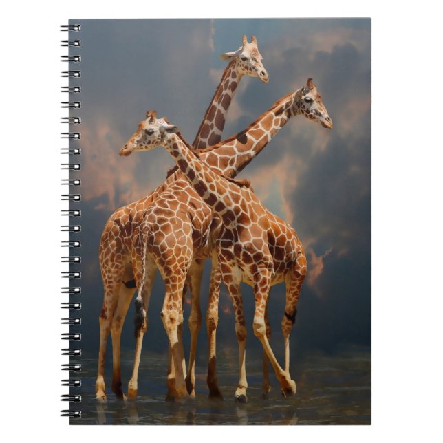 CADERNO ESPIRAL FANTASIA DE GIRAFFIC (Frente)