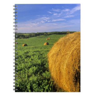 Caderno Espiral Fardos de feno perto de Bottineau Dakota do Norte