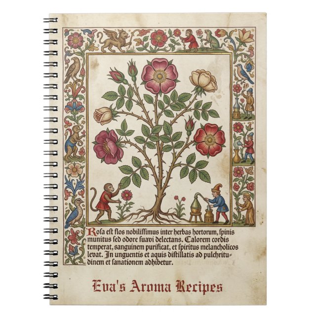 Caderno Espiral Farmácia Iluminada Rosa Medieval (Frente)