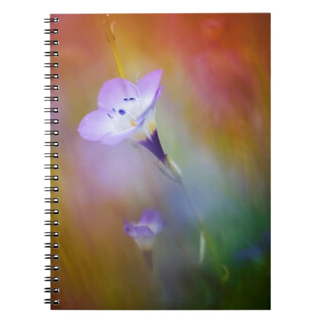 Caderno Espiral Farol de Loma de Ponto Antigo| Monumento Cabrillo (Frente)