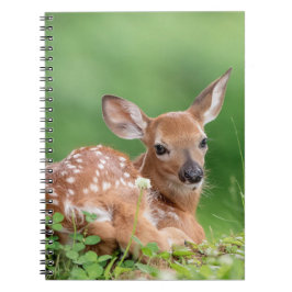 Caderno Espiral Fawn Adorável deitada debaixo de uma árvore