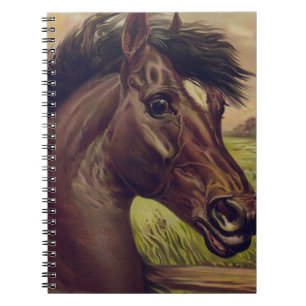 Caderno Espiral fazenda de cavalos rancho passeio esportes equinos