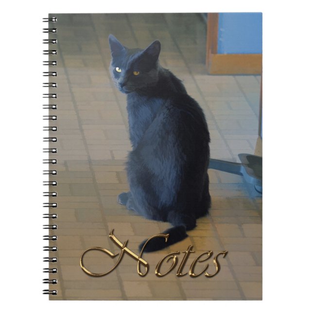 Caderno Espiral Fazenda de Cinzas giras sentada em rancheira (Frente)