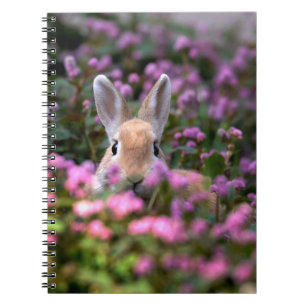 Caderno Espiral Fazenda de coelhos