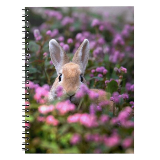 Caderno Espiral Fazenda de coelhos (Frente)