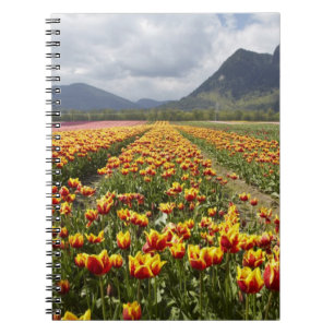 Caderno Espiral Fazenda de Tulipas perto de Agassiz, Colúmbia Brit