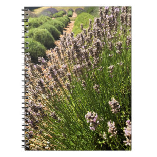 Caderno Espiral Fazenda lavanda