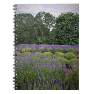Caderno Espiral Fazenda lavanda