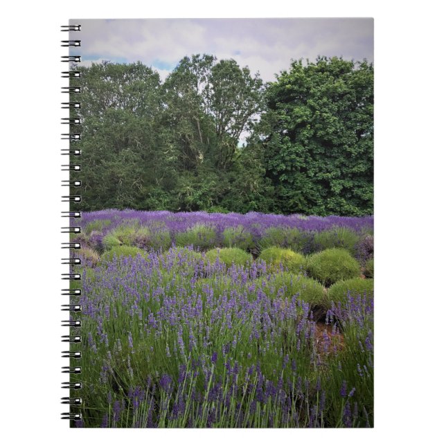 Caderno Espiral Fazenda lavanda (Frente)