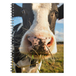 Caderno Espiral Fazendas Mastigação De Vaca Holstein