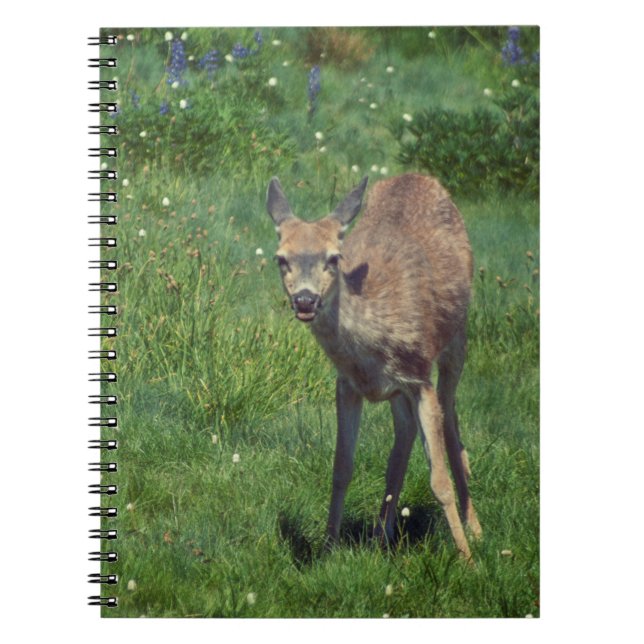 Caderno Espiral Fazer (Frente)