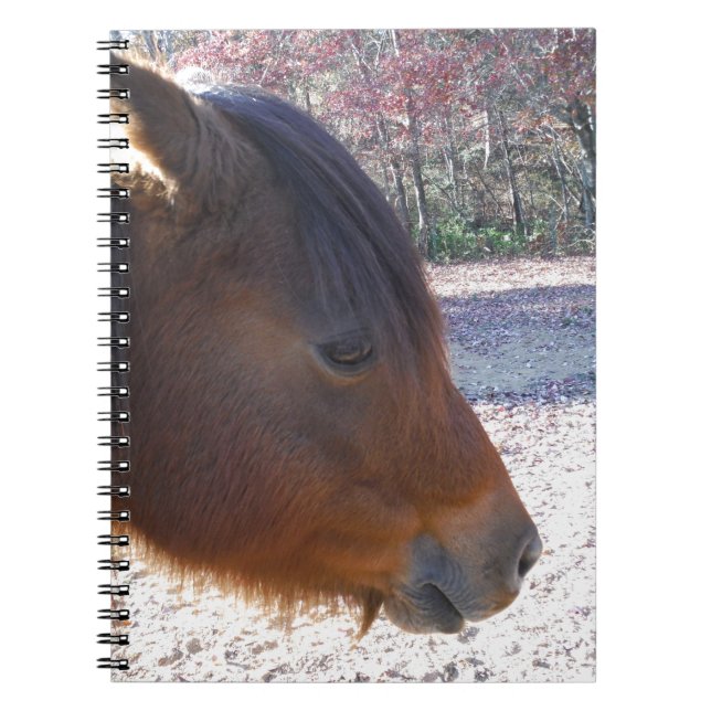 Caderno Espiral Fecha o cavalo marrom, Pôneo marrom (Frente)