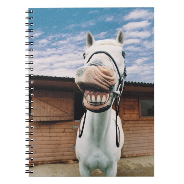 Caderno Espiral Fechamento de Cavalo com Boca Aberta (Frente)