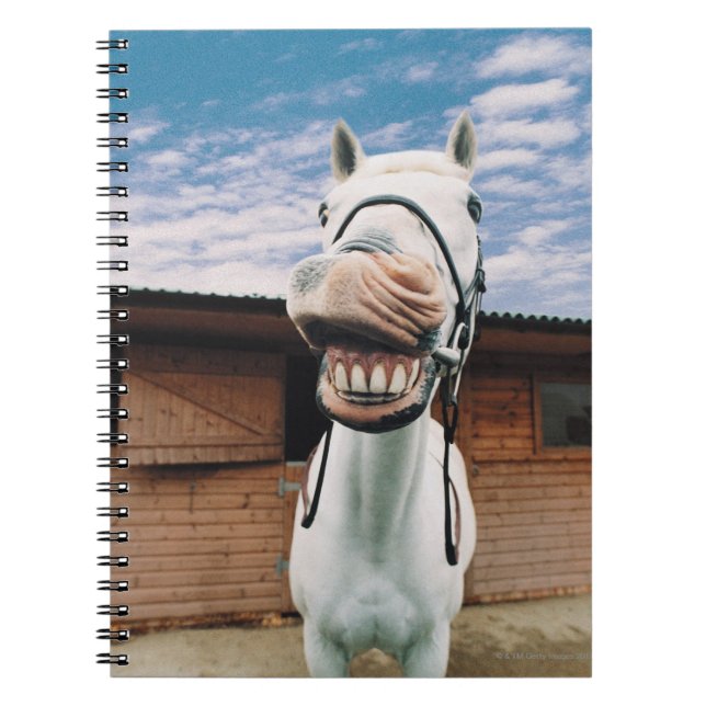 Caderno Espiral Fechamento de Cavalo com Boca Aberta (Frente)