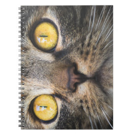 Caderno Espiral Fechamento de Gato com Olhos Amarelos