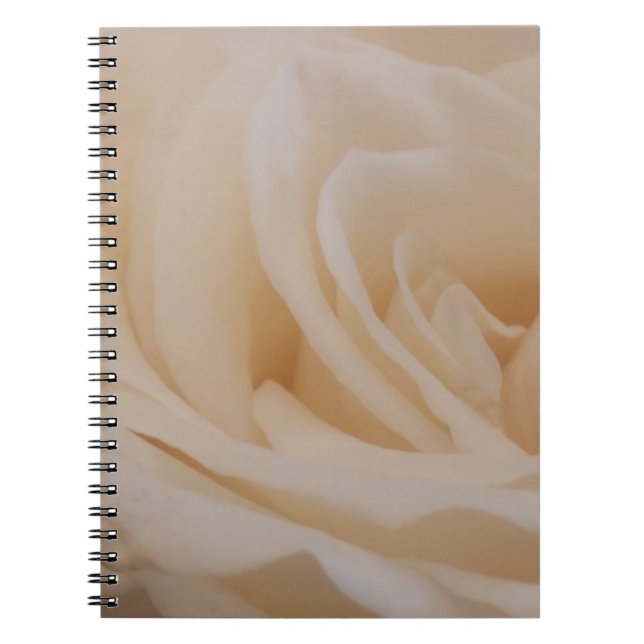 Caderno Espiral Fechamento de Rosa de Creme Colorido (Frente)