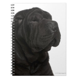 Caderno Espiral Fechamento de Shar Pei (1 ano)