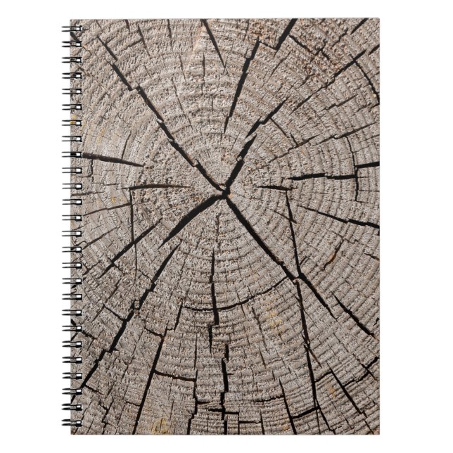 Caderno Espiral Fechar a textura de fundo da cinza de velhos agent (Frente)